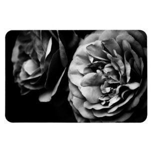 zwei Rose Magnet