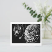 zwei Rose Postkarte (Stehend Vorderseite)