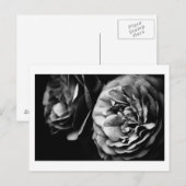 zwei Rose Postkarte (Vorne/Hinten)