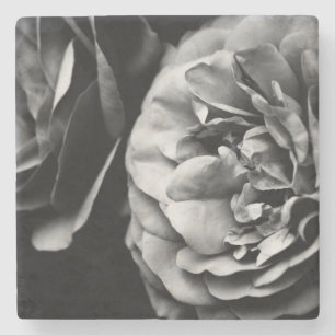 zwei Rose Steinuntersetzer