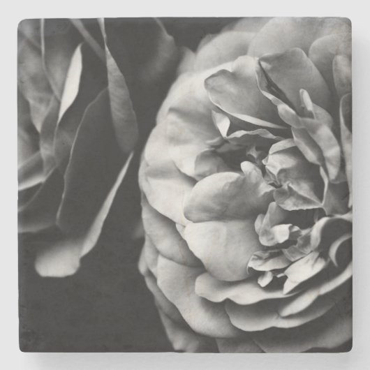 zwei Rose Steinuntersetzer (Vorderseite)