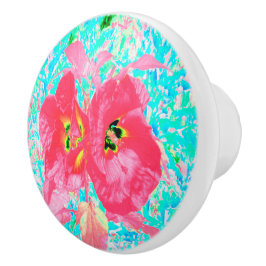 Zwei Rosy Red Coral Pum Crazy Hibiskus auf Aqua Keramikknauf