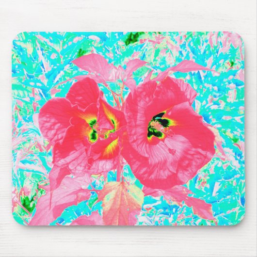 Zwei Rosy Red Coral Pum Crazy Hibiskus auf Aqua Mousepad (Vorne)