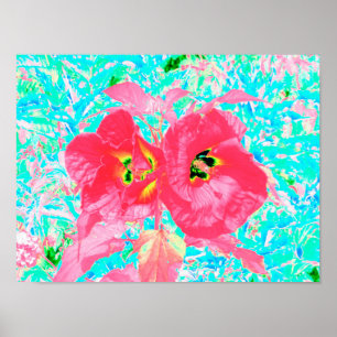 Zwei Rosy Red Coral Pum Crazy Hibiskus auf Aqua Poster