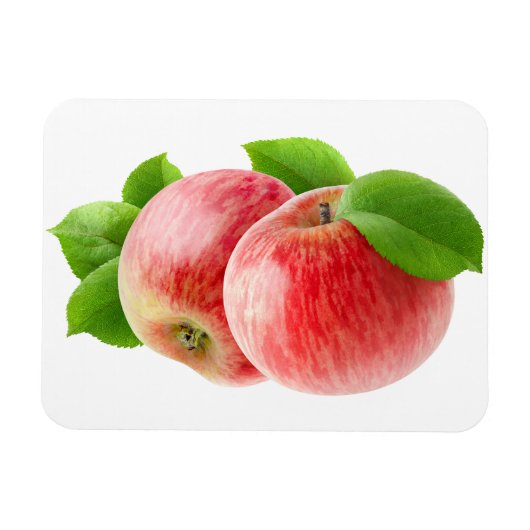 Zwei rote Äpfel Magnet (Horizontal)