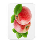 Zwei rote Äpfel Magnet (Vertikal)