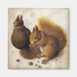 Zwei Rote Eichhörnchen (von Albrecht Dürer) Magnet