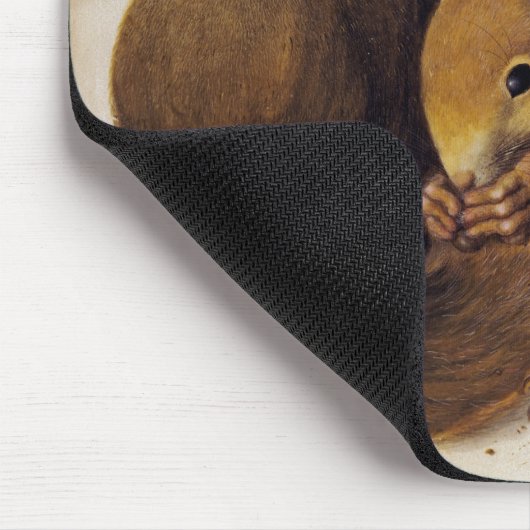 Zwei Rote Eichhörnchen (von Albrecht Dürer) Mousepad (Ecke)