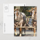 Zwei rote Roan-Pferde Postkarte (Vorne/Hinten)