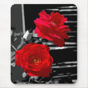 ZWEI ROTE ROSEN MOUSEPAD