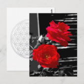 ZWEI ROTE ROSEN POSTKARTE (Vorne/Hinten)