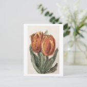 Zwei Rote Tulips von Sientje Mesdag-van Houten Postkarte (Stehend Vorderseite)