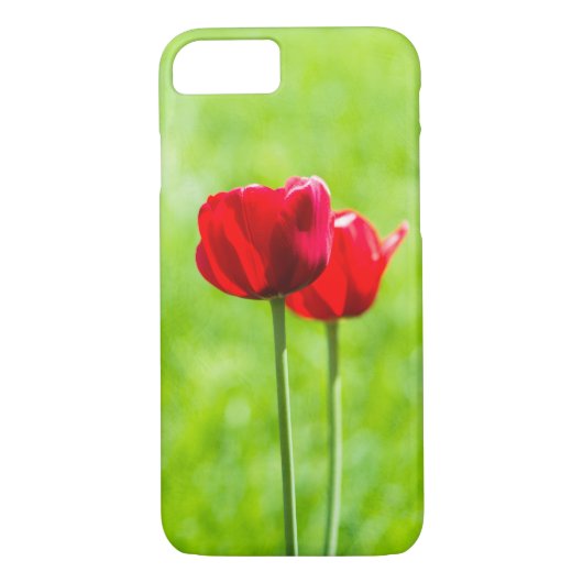 Zwei rote TulpenBlume Case-Mate iPhone Hülle (Rückseite)