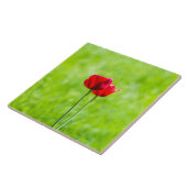 Zwei rote TulpenBlume Fliese (Seite)