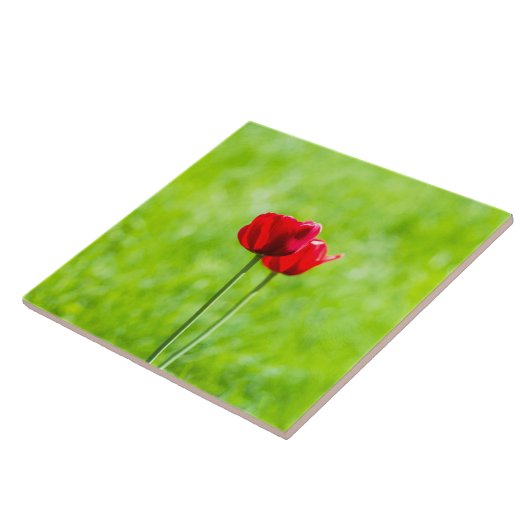 Zwei rote TulpenBlume Fliese (Seite)