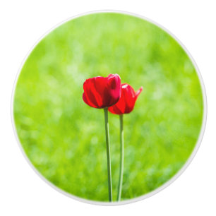 Zwei rote TulpenBlume Keramikknauf