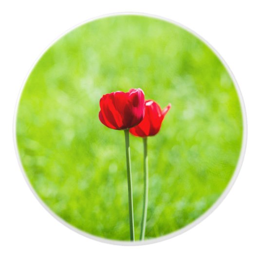 Zwei rote TulpenBlume Keramikknauf (Vorderseite)