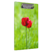 Zwei rote TulpenBlume Klemmbrett (Rechts)