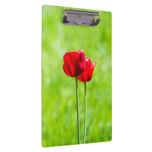 Zwei rote TulpenBlume Klemmbrett (Rechts)