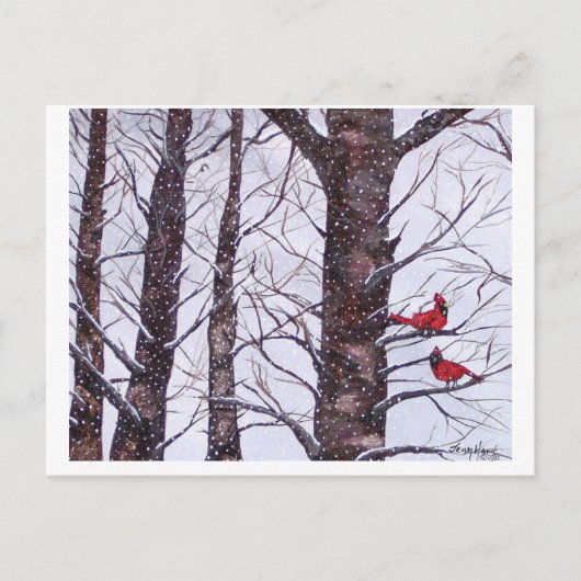 zwei rote Vögel im Winter, Copyright 2005 Postkarte (Vorderseite)