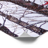 Zwei rote Vögel im Winter Poster (Ecke)