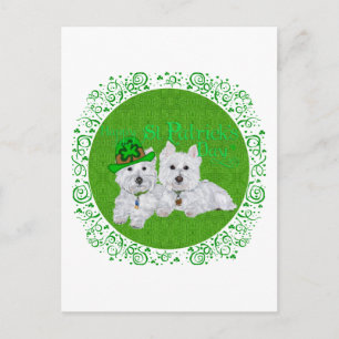 Zwei ruhende Westies am St. Patrick's Day Postkarte