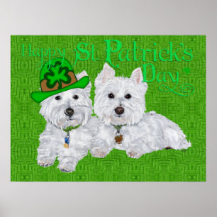 Zwei ruhende Westies am St. Patricks-Tag Poster