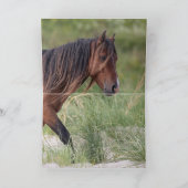 Zwei Sable-Hengste, die Mans fliegen - Grußkarte Karte (Innenseite)