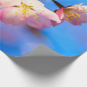 Zwei Sakura-Blume auf blau Geschenkpapier (Ecke)