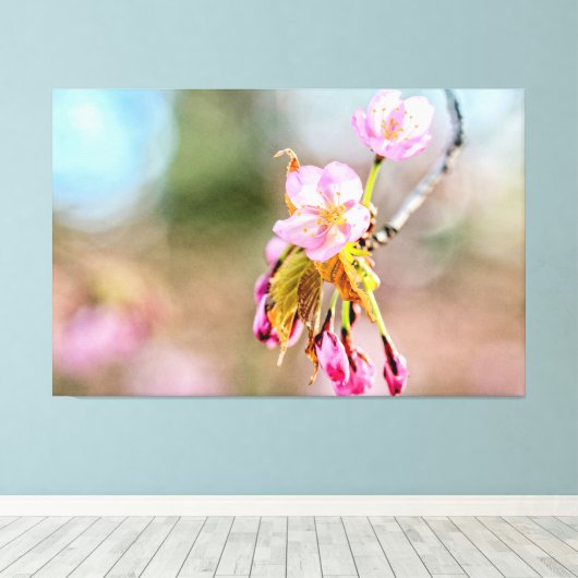 Zwei Sakura-Blume auf einem Tipp einer Twig im Frü Leinwanddruck (Insitu (Holzboden))