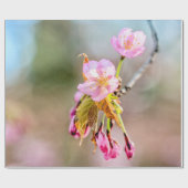 Zwei Sakura-Blume auf einer Spitze Geschenkpapier (Flach)