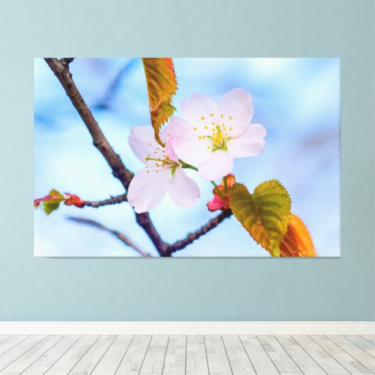 Zwei Sakura-Blume in blassrosa Farbe im Frühjahr Leinwanddruck (Insitu (Holzboden))