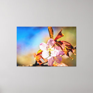 Zwei Sakura Cherry Blume Leinwanddruck