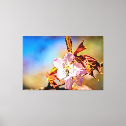 Zwei Sakura Cherry Blume Leinwanddruck (Vorderseite)