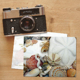 Zwei Sand Dollars leere Postkarte