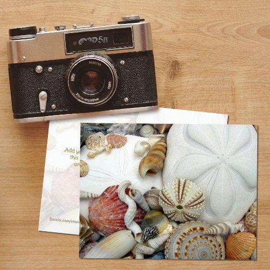 Zwei Sand Dollars leere Postkarte