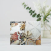 Zwei Sand Dollars leere Postkarte (Stehend Vorderseite)