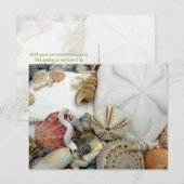 Zwei Sand Dollars leere Postkarte (Vorne/Hinten)