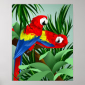 Zwei Scarlet-Macaws Poster (Vorne)
