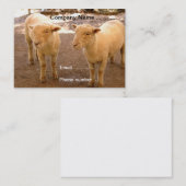 Zwei Schaf-Visitenkarten Visitenkarte (Vorne/Hinten)