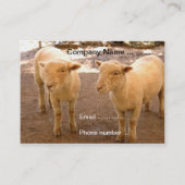 Zwei Schaf-Visitenkarten Visitenkarte (Vorderseite)