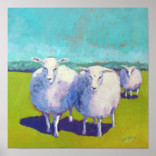 Zwei Schafe auf dem Gebiet Poster