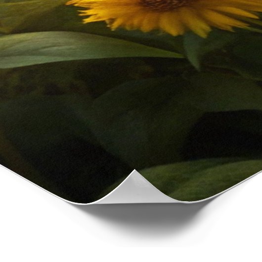 Zwei Schafe Poster (Ecke)