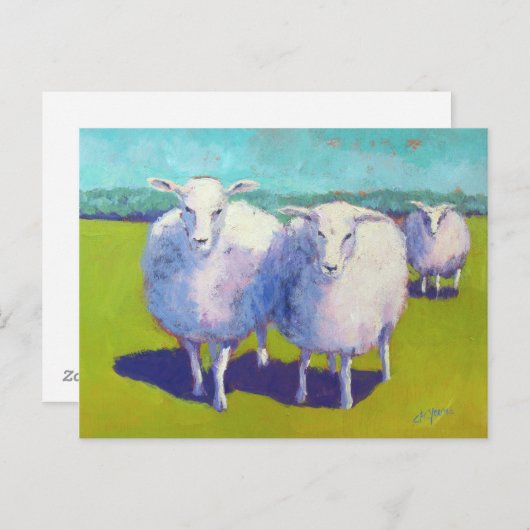 Zwei Schafe vor Ort Postkarte (Vorne/Hinten)