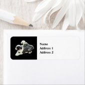 Zwei Schafhunde (Insitu)