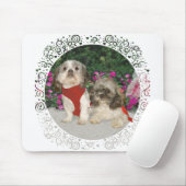 Zwei schicke Zucas im Garten Mousepad (Mit Mouse)