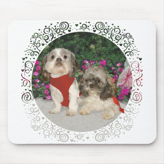 Zwei schicke Zucas im Garten Mousepad (Vorne)