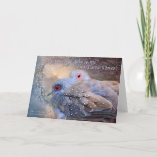 Zwei Schildkröte-Tauben-Feiertags-Karte Feiertagskarte