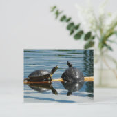 Zwei Schildkröten auf der Turtle-Bar Postkarte (Stehend Vorderseite)