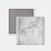 Zwei Schildkröten, Ziegen und Schafe Magnet (Vorderseite/Rückseite)